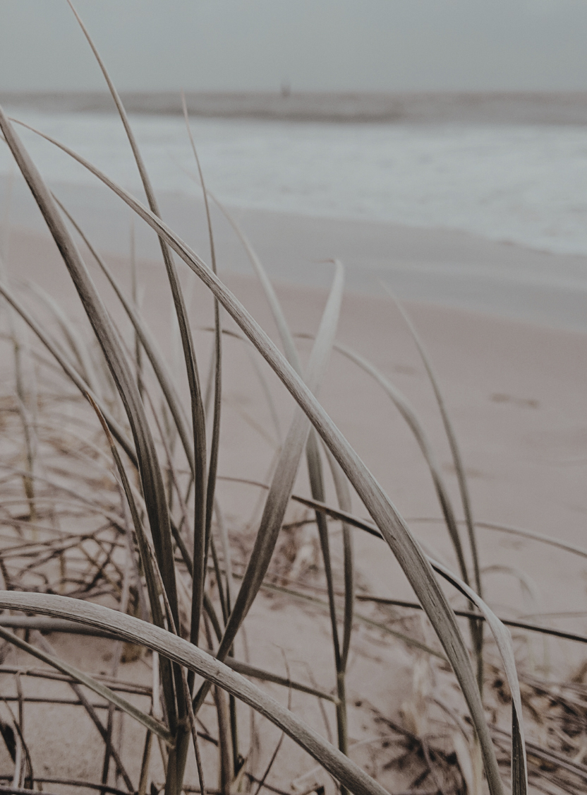 Tranquil shoreline